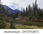 Miette River on a Cloudy Autumn Day