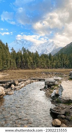 The mighty nanga parbat mountain view from FairyMeadows Valley Pakistan