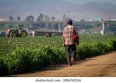 Migrant worker walking on dirt road near a field  - Shutterstock ID 2096742526