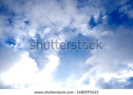 Similar – Image, Stock Photo Together towards the sun