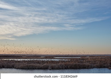 25 Cheyenne bottoms Images, Stock Photos & Vectors | Shutterstock