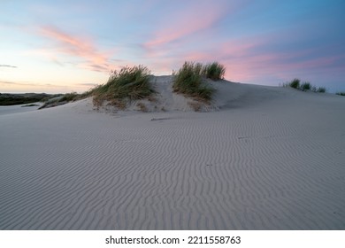 Migrating Coastal Dune Råbjerg Mile, Denmark