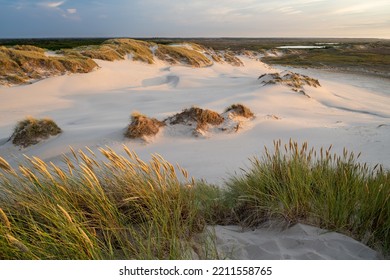 Migrating Coastal Dune Råbjerg Mile, Denmark