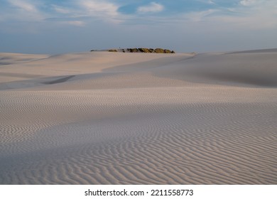 Migrating Coastal Dune Råbjerg Mile, Denmark