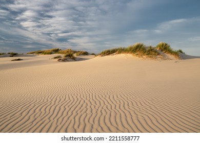 Migrating Coastal Dune Råbjerg Mile, Denmark