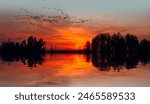 A migrating flock of geese flying in V-formation across a lake at sunset sky.