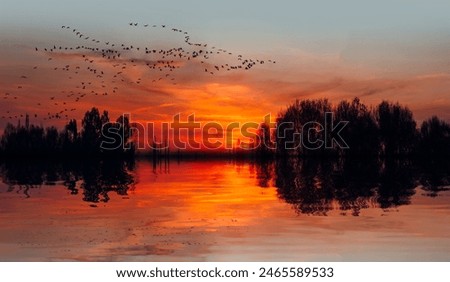 Similar – Foto Bild Abendflug der Gänse beim Sonnenuntergang