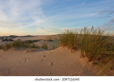 Migration Dunes At Råbjerg Mile.