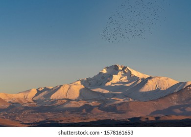 birds flying south for winter images stock photos vectors shutterstock