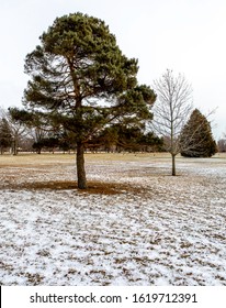 Mike Weir Park In Winter After A Fresh Fall Of Snow