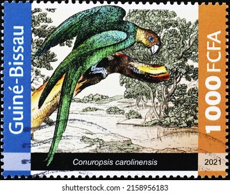 Milan, Italy - April 21, 2022: Carolina Parakeet, Extinct Bird, On Postage Stamp