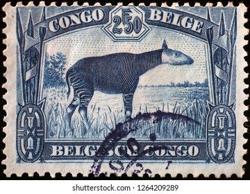 Milan, Italy – December 11, 2018: Okapi On Vintage Stamp Of Belgian Congo	