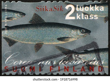 Milan, Italy  - February 02, 2021: Fish Lavaret On Finnish Postage Stamp 