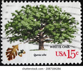 Milan, Italy - November 10, 2021: White Oak On American Postage Stamp