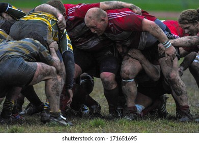 MILAN, ITALY - OCTOBER 28: Amateur Rugby League In Milan, October 28,2010. Players Pushing In A Muddy Scrum During The Match Between A.S.R. Rugby Milano Vs Biella Rugby Club.