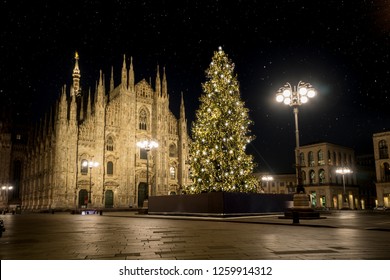 Milan (Italy) in winter: Christmas tree in front of Milan cathedral, Duomo square in december, night view. Starry sky. - Powered by Shutterstock