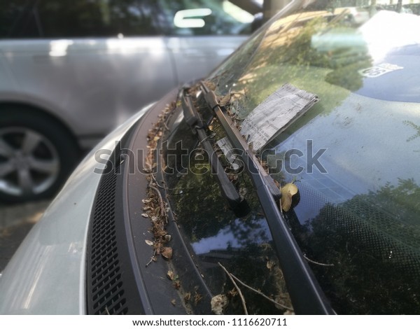 Milan,Italy-June 2018: Police Fine on Windscreen\
of a Parked Car with\
Foliage