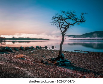 Milarrochy Bay, Loch Lomond, Scotland. Winter 2019.