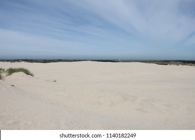 Råbjerg Mile, Moving Dune, Denmark.