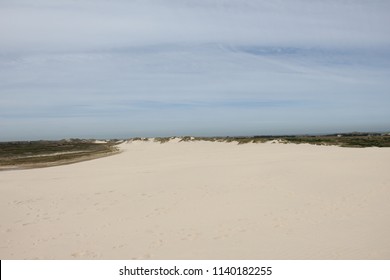 Råbjerg Mile, Moving Dune, Denmark.