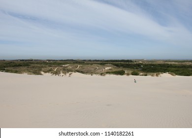 Råbjerg Mile, Moving Dune, Denmark.