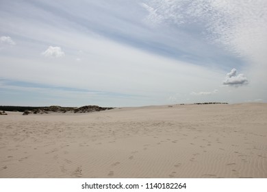 Råbjerg Mile, Moving Dune, Denmark.