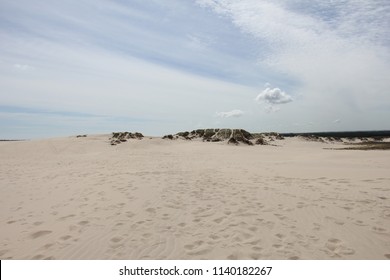 Råbjerg Mile, Moving Dune, Denmark.