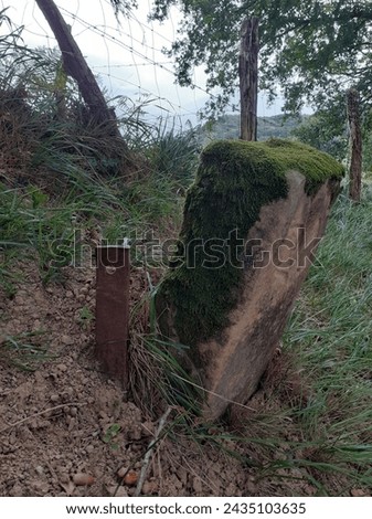 Milestone with moss delimiting agricultural land