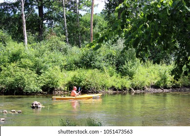 Milford, MI/USA: July 29, 2017 – Man In Colorful Yellow Kayak Paddles On The Huron River Water Trail, A 104 Mile Inland Paddling Trail In The Lower Peninsula Of Michigan. 