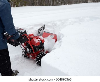 Margaret M Stewart's Portfolio on Shutterstock