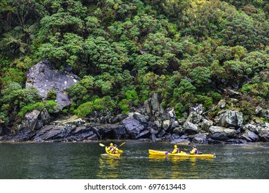 MILFORD SOUND, NEW ZEALAND, Nov 21 :Tourist Sea Kayak In Waterfall Milford Sound November 21 2014, Fiordland National Park,New Zealand