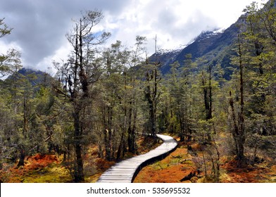 Milford Track