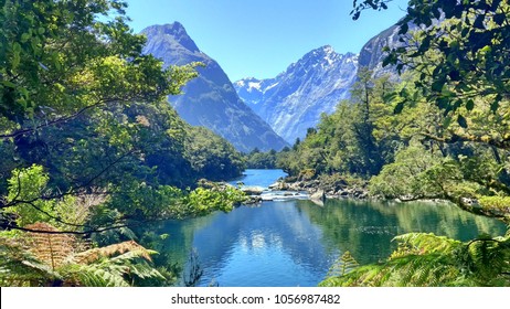 Milford Track 3