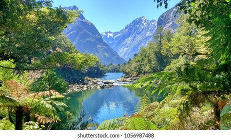 Milford Track 4