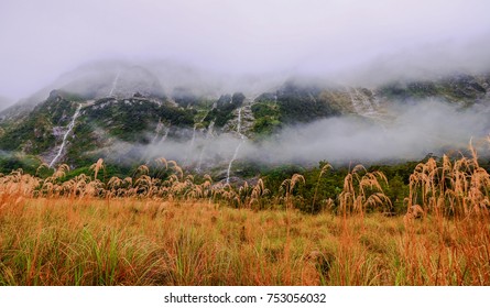 Milford Track New Zealand