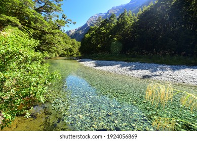 Milford Track Section Along The Clinton River, New Zealand