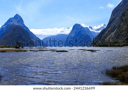 milfordsound with blue sky in summer