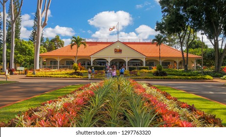 Dole Plantation Images Stock Photos Vectors Shutterstock