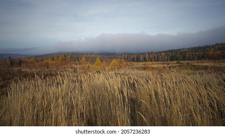 Military Area Jordan, Brdy, Czechia