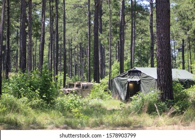 Military Camp Hidden In The Woods 