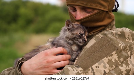 Military man in camouflage uniform and balaclava holds a cute little grey and red kitten on his shoulder. Incredibly cute photo of a soldier playing with the  kitten outdoors.