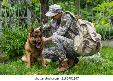 Military Meeting With A Dog