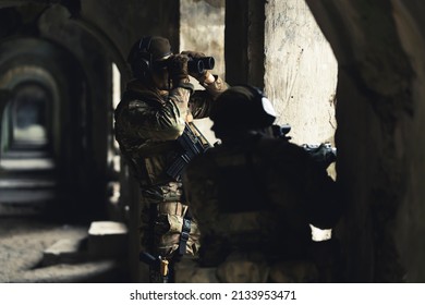 Military watchdogs monitoring defense border building premises. High quality photo