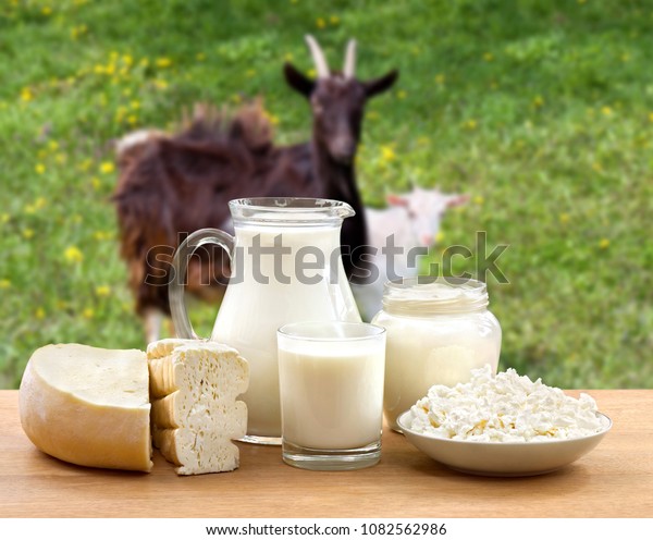 Milk,\
cheese, cottage cheese and sour cream on wooden table on the\
background of meadows with goat and\
goatling