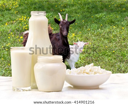 Milk, cottage cheese and sour cream on the background of meadows with goat and goatling