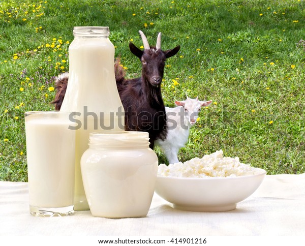 Milk Cottage Cheese Sour Cream On Stock Photo Edit Now 414901216