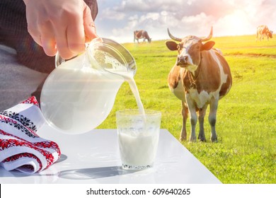 45,454 Cow sun Images, Stock Photos & Vectors | Shutterstock