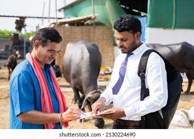 Milk Dairy Farmer Singing On Loan Agreement Near Cattle Farmhouse - Concept Of Business Loan, Banking Support And Financial.