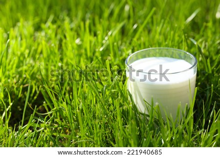 Milk in glass on grass close-up