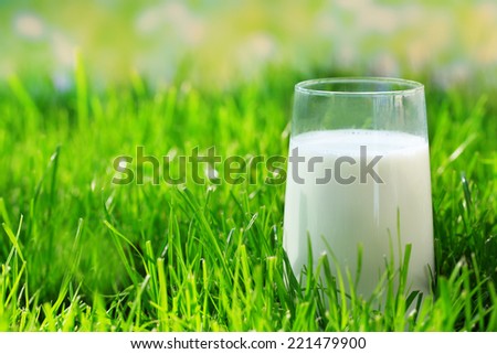Milk in glass on grass on natural background